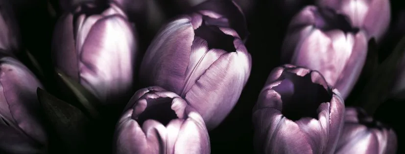 Ktorá farba bola zvolená farbou roku 2018?

