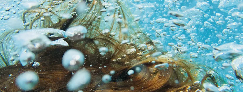 Dokážete si predstaviť, že vaša pleť aj vlasy majú smäd?